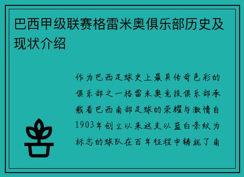巴西甲级联赛格雷米奥俱乐部历史及现状介绍